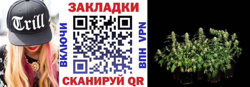 Купить Циолковский Каннабис МЕФ Alpha PVP АМФ COCAIN Гашиш