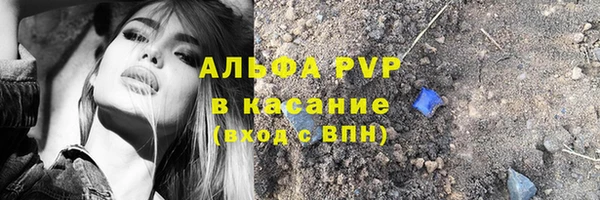 прущие грибы Ханты-Мансийск