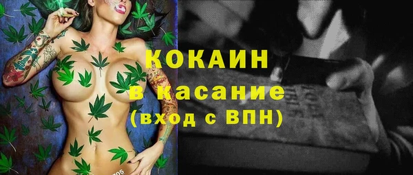 винт Алзамай