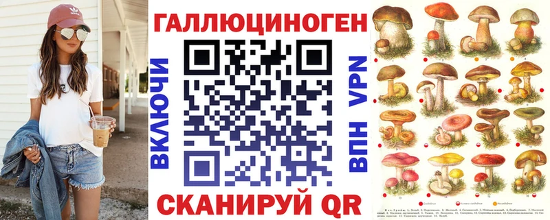 где продают   Циолковский  Галлюциногенные грибы Psilocybe 